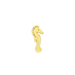 Seahorse