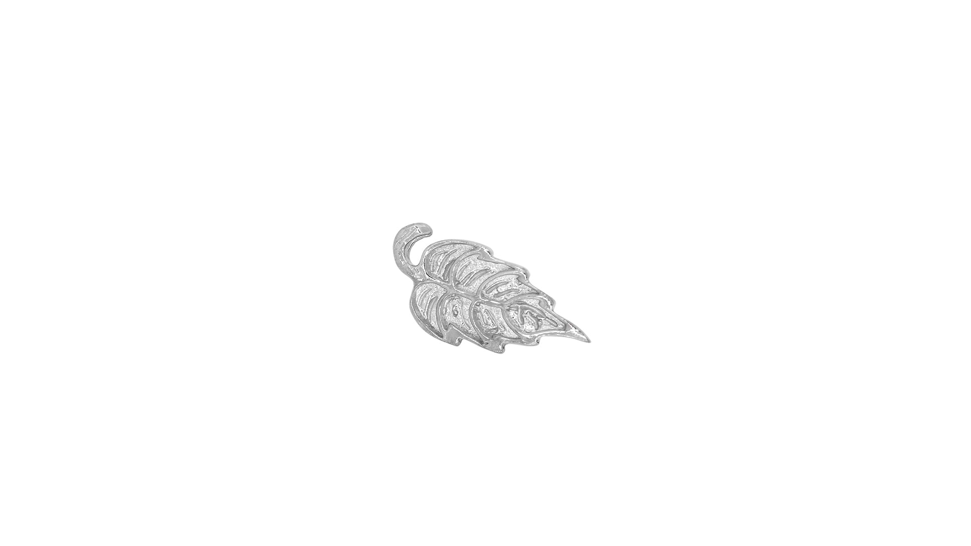 Big Leaf - Image 3