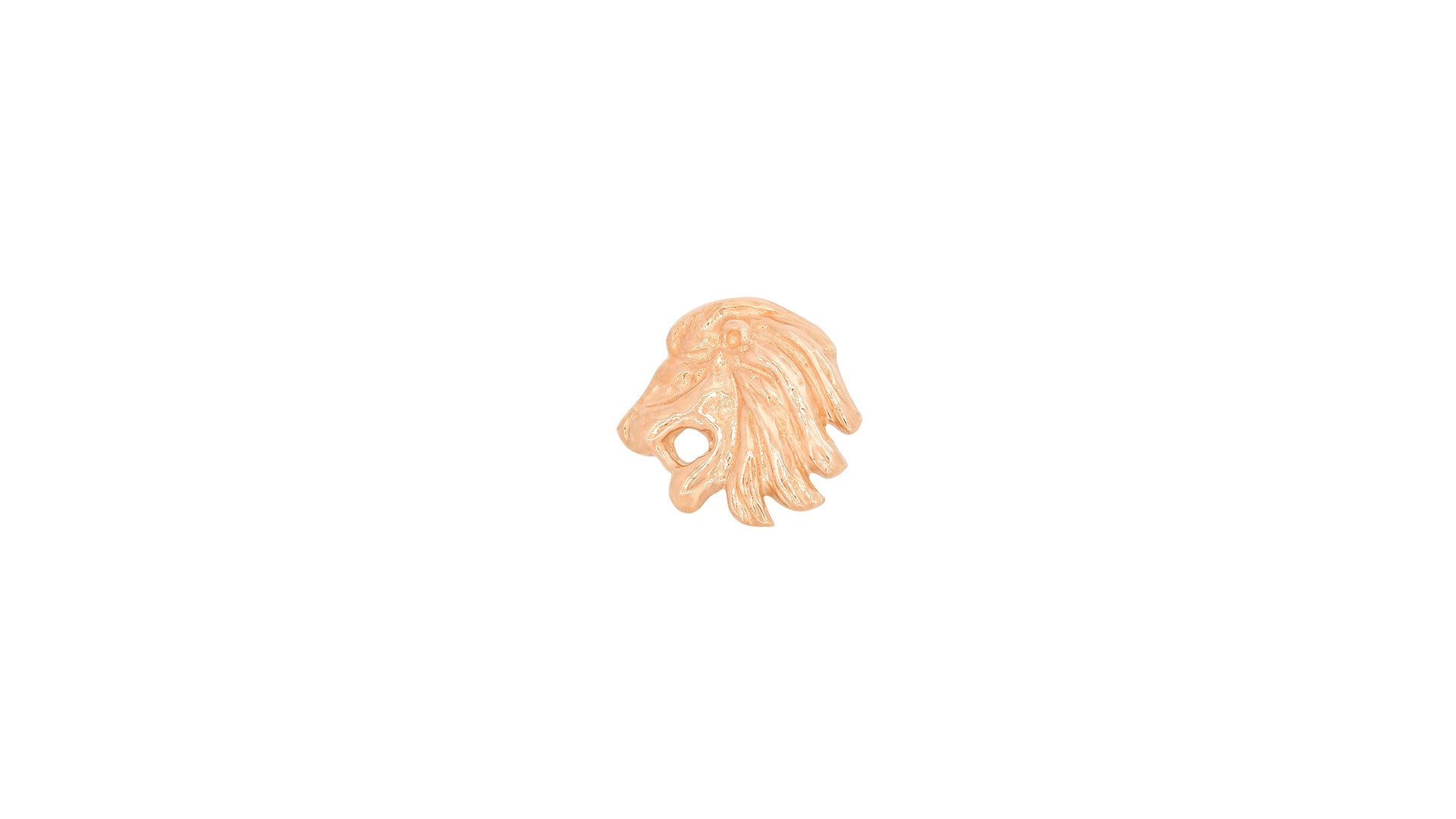 Lion - Image 3