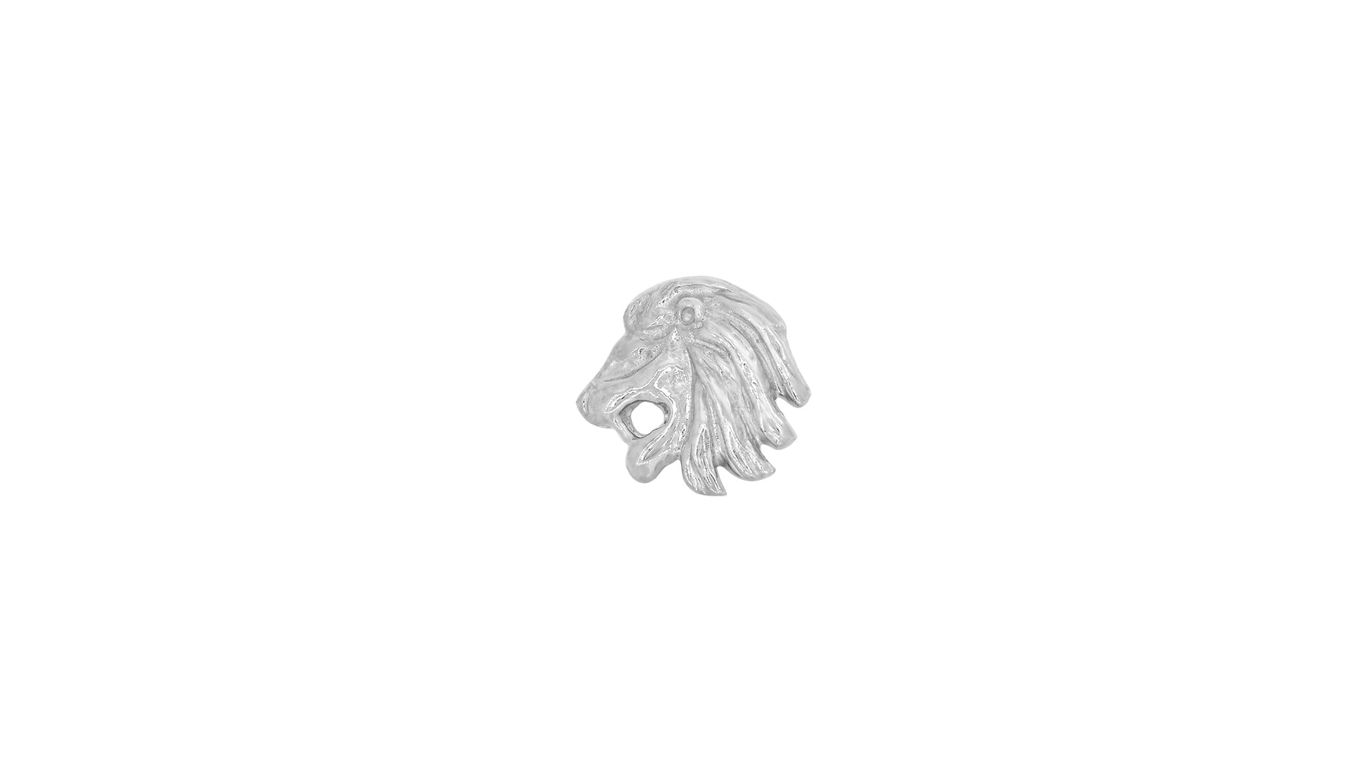 Lion - Image 2