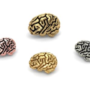 Brain