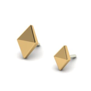 Prism
