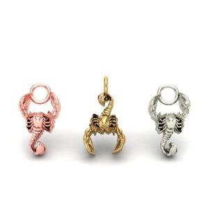 Scorpion Charm