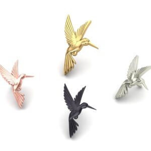 Flat Hummingbird
