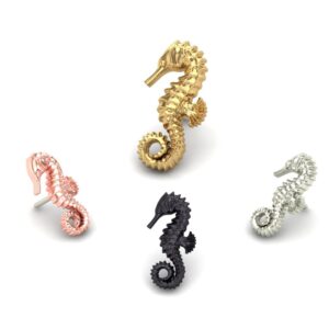 Spined Seahorse
