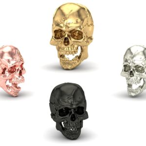 Jaw Motion Skull