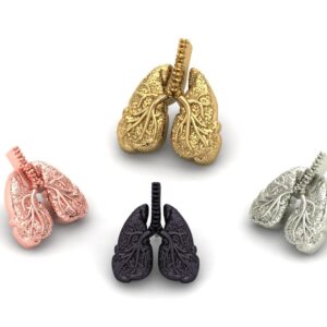 Lungs