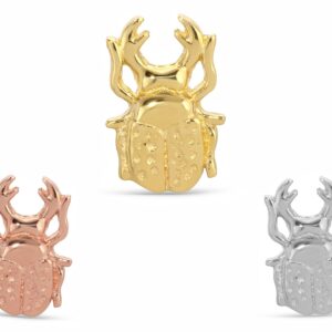 Scarab Beetle